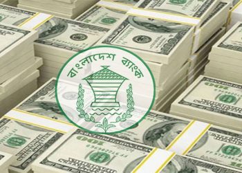 ৮ বিলিয়ন ডলারের বৈদেশিক মুদ্রার রিজার্ভের কী হলো?